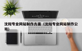 漳浦沈阳专业网站制作方案（沈阳专业网站制作公司）